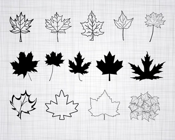 Maple Leaf Svg Bundle Maple Leaf Svg Maple Leaf Clipart Cut Etsy