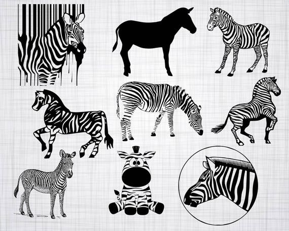 Download Free Zebra Svg Bundle Zebra Svg Zebra Clipart Zebra Cut Files Etsy SVG Cut Files