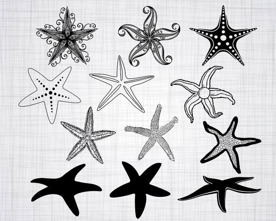 Download Starfish Svg Bundle Starfish Svg Starfish Clipart Cut Files Etsy