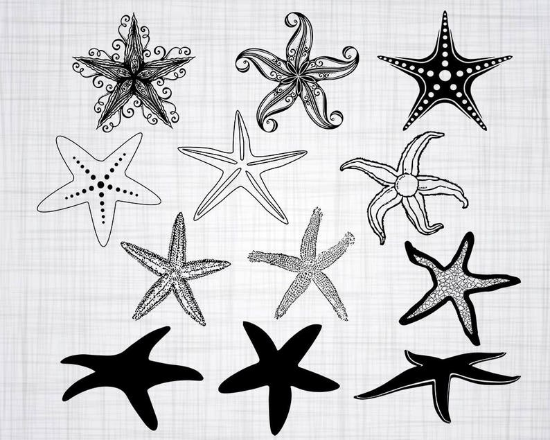 Download Starfish SVG Bundle Starfish SVG Starfish Clipart Cut ...