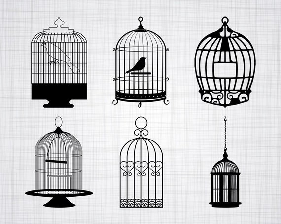 Bird Cage Svg Bundle Bird Cage Svg Bird Cage Clipart Cut Etsy