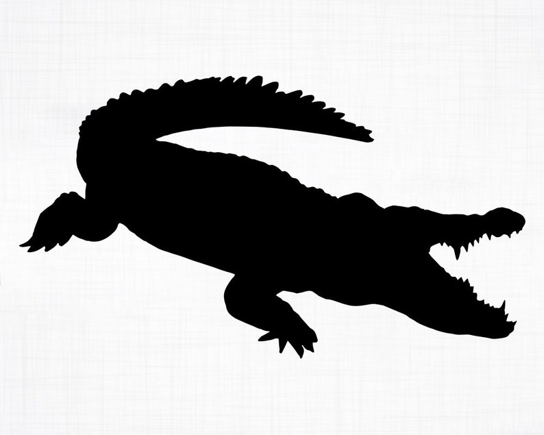 Крокодил сверху рисунок