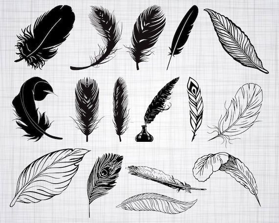 Download Feather Svg Bundle Feather Svg Feather Clipart Feather Cut Etsy