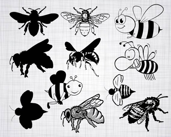 Download Bee Svg Bundle Bee Svg Bee Clipart Bee Cut Files For Etsy