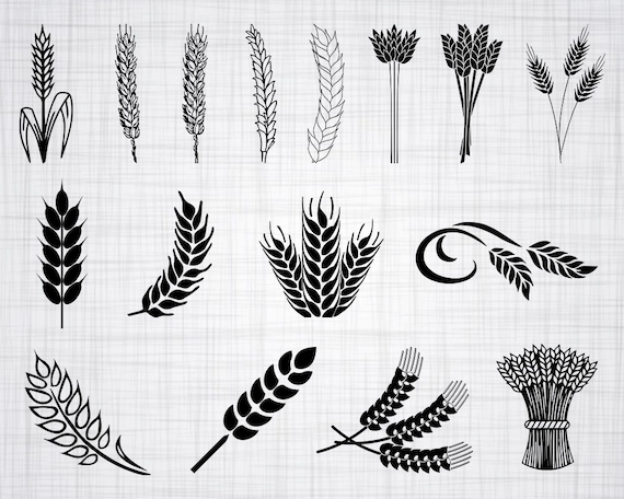 Download Wheat SVG Bundle Wheat SVG Grain Svg Wheat Clipart Wheat ...