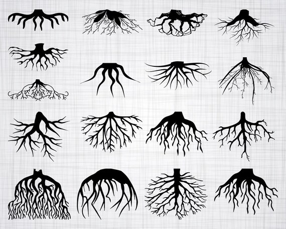 Download Roots SVG Bundle Roots SVG Roots Clipart Roots Cut Files ...