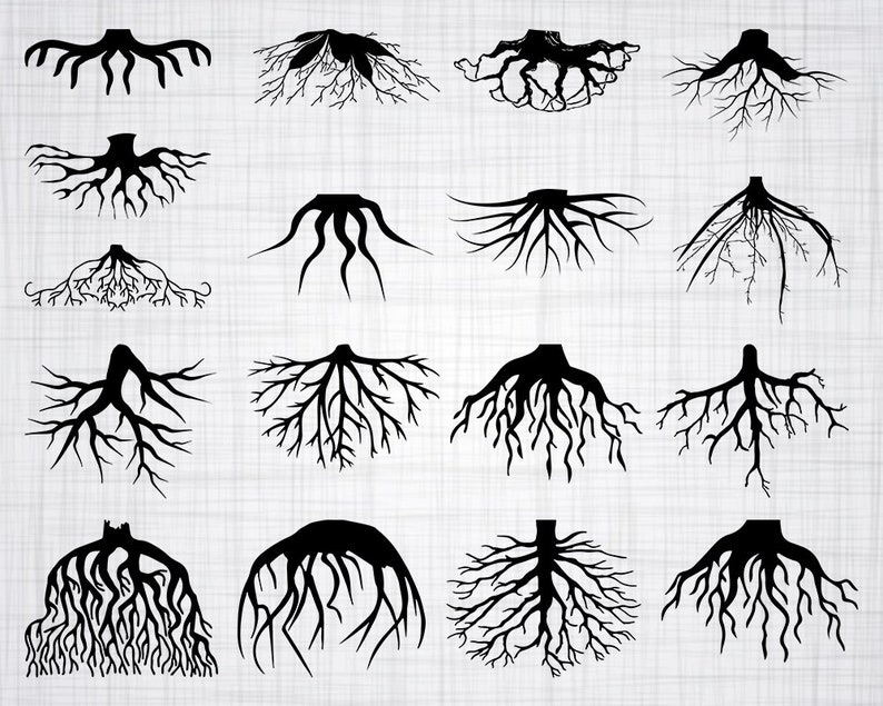 Free Free 290 Family Roots Svg SVG PNG EPS DXF File
