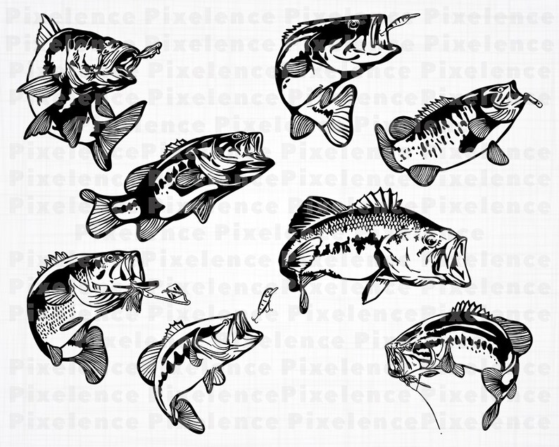 Download Bass Fishing SVG Files Sea Bass SVG Fishing Svg Fish Svg ...