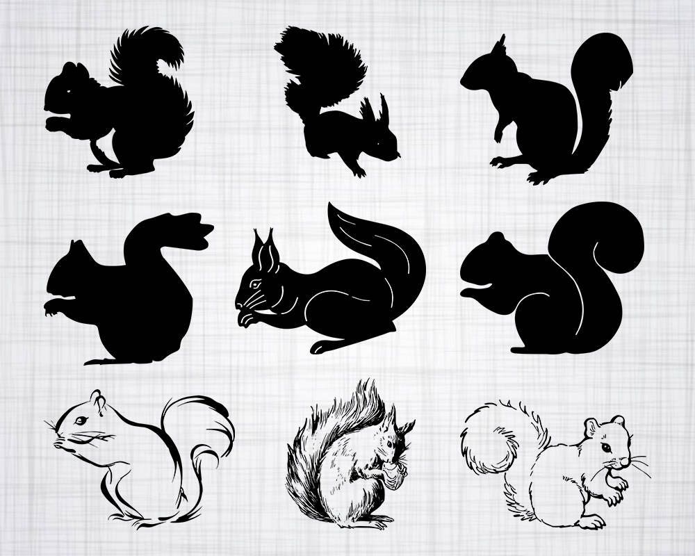 Download Squirrel SVG Bundle Squirrel SVG Squirrel Clipart Cut Files | Etsy