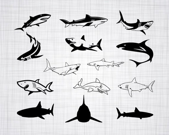 Download Shark SVG Bundle Shark SVG Shark Clipart Shark Cut Files ...