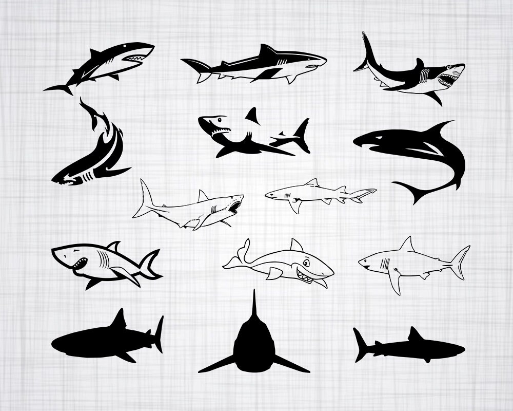 Free Free 168 Shark Svg Cricut SVG PNG EPS DXF File