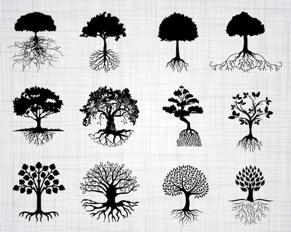 Download Tree With Roots Svg Bundle Tree Roots Svg Clipart Cut Files Etsy