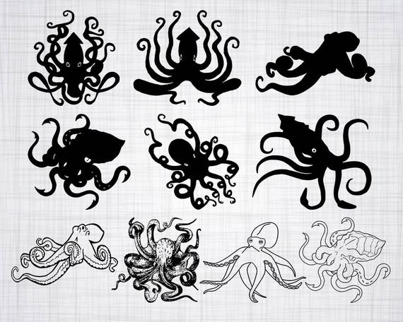 Free Free 307 Squid Svg Free SVG PNG EPS DXF File