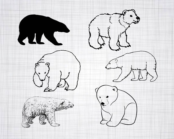 Eisbar Svg Bundle Eisbar Svg Eisbar Clipart Schneiden Sie Etsy