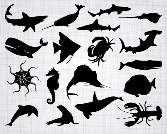 Download Sea Creatures Svg Bundle Sea Animals Svg Sea Creatures Etsy