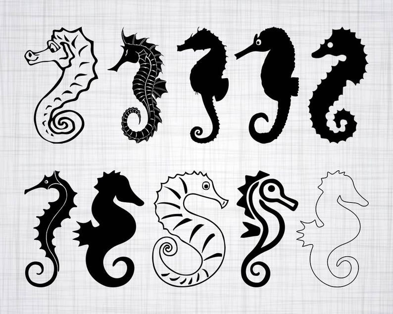 Download Seahorse SVG Bundle Seahorse SVG Seahorse Clipart Cut ...