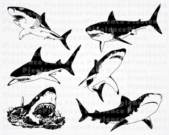 Download Great White Shark Svg Files Shark Svg Shark Clipart Shark Etsy