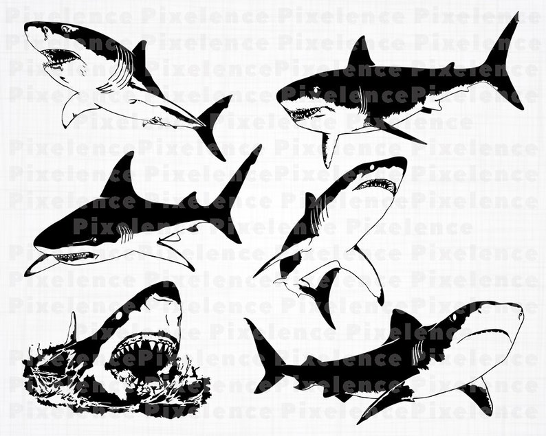 Download Shark Svg Shark Clipart Png Dxf Great White Shark Svg Files Shark Files For Cricut Design Shark Cut Files For Silhouette Eps Vector Craft Supplies Tools Collage Delage Com Br