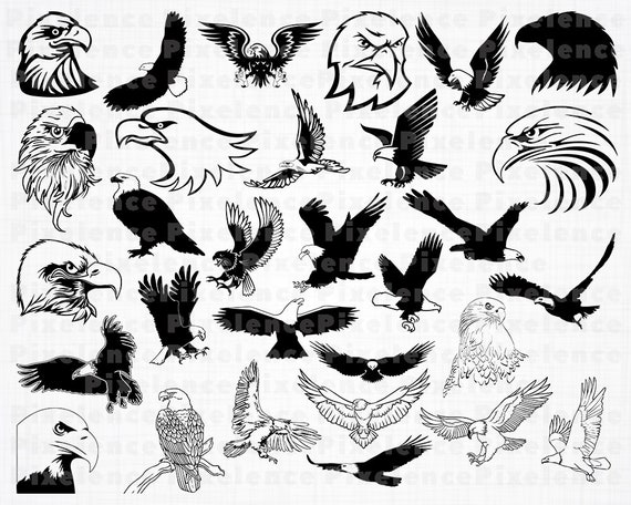 Download Bald Eagle Svg Files Bald Eagle Svg Bald Eagle Clipart Bald Etsy