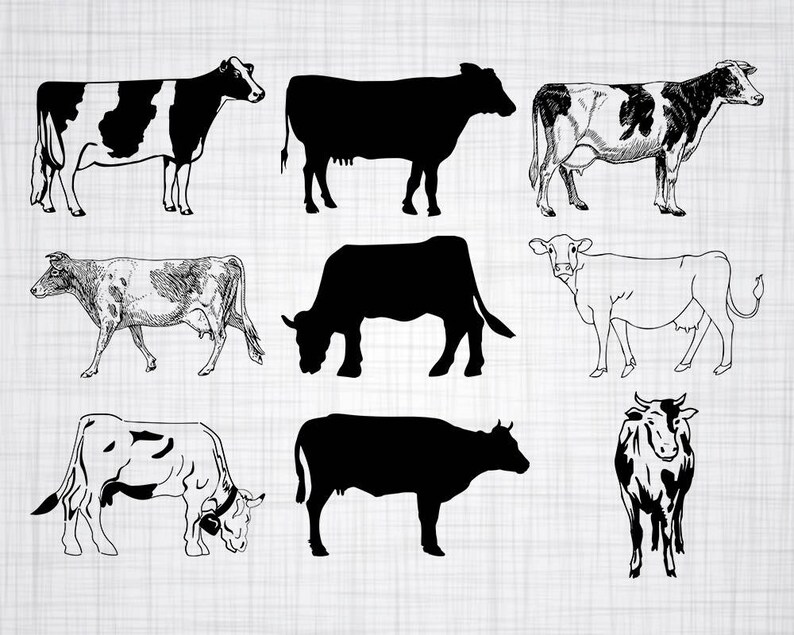 Download Cow SVG Bundle Cow SVG Cow Clipart Cow Cut Files For | Etsy
