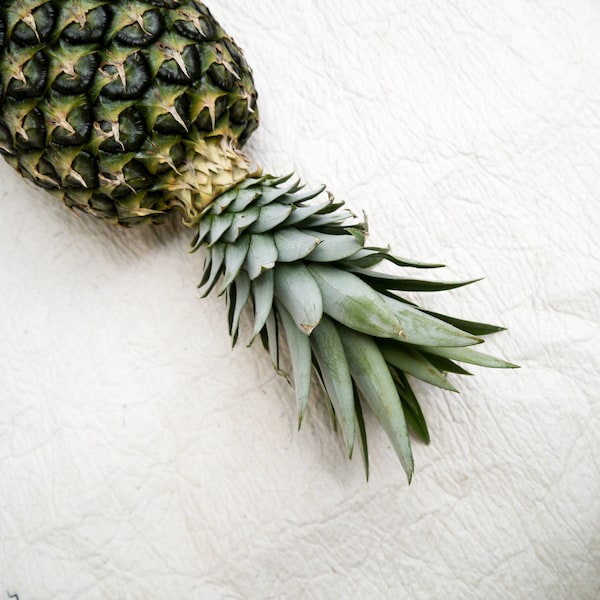 Pinatex - naturale - Pelle di ananas - vegano - Originale