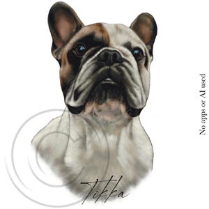 Animal Portrait Custom Digital Caricature Half-Body Hand Drawn Pet Art – Unique Personalized Gift, No AI Used