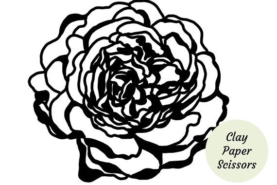 Download Peony outline flower SVG files. DXF and PNG digital ...