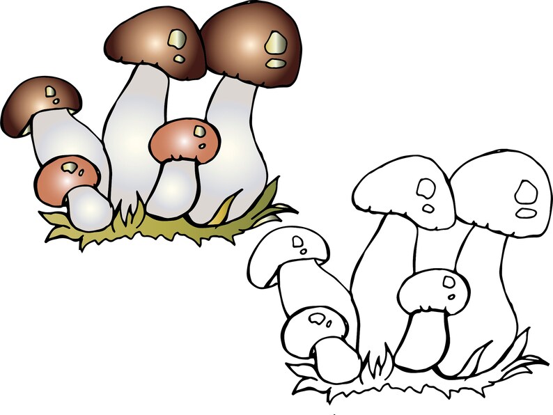 Download Mushroom clipart Coloring autumn toadstool mushrooms edible | Etsy