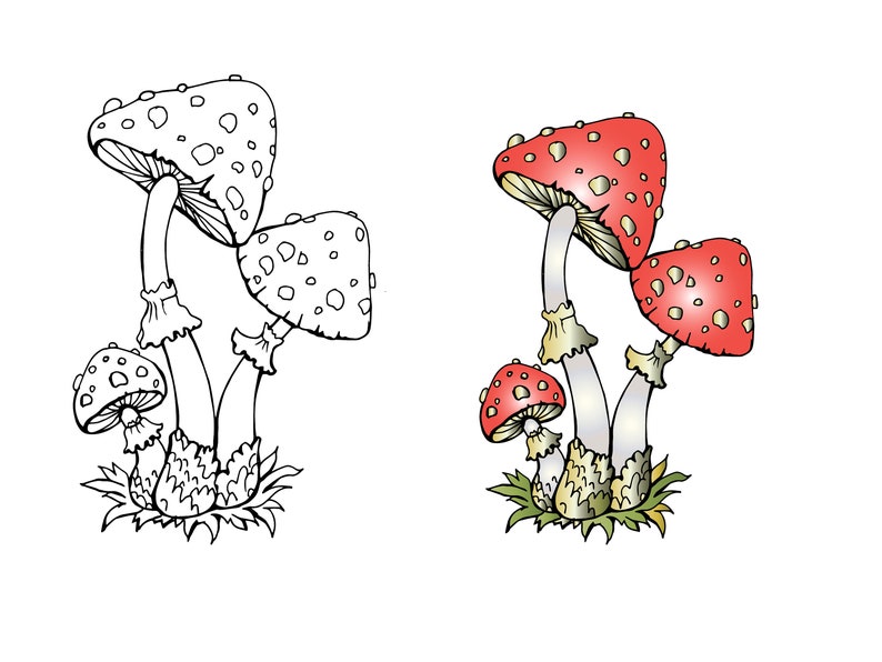 Download Mushroom clipart Coloring autumn toadstool mushrooms edible | Etsy