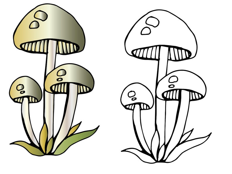 Download Mushroom clipart Coloring autumn toadstool mushrooms edible | Etsy