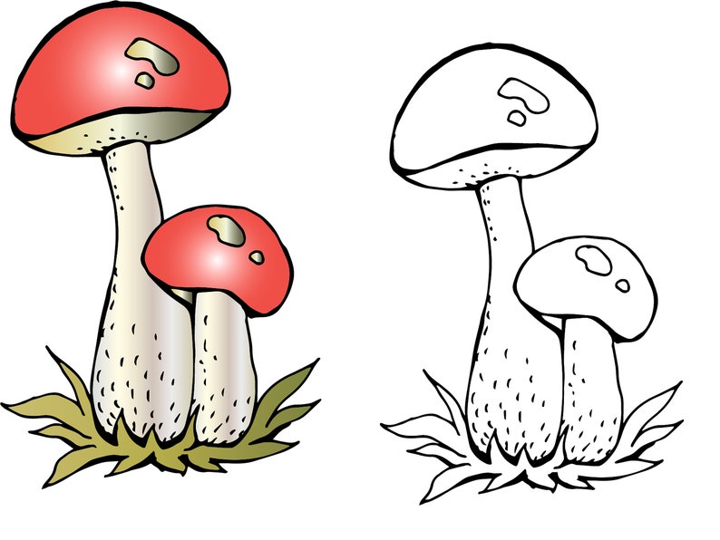 Download Mushroom clipart Coloring autumn toadstool mushrooms edible | Etsy