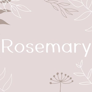 Rosmarin handgeschriebene Schrift | Goodnotes-Schriftarten | Canva Schriftarten | Procreate Schriftarten | Niedliche Schriftarten | Planer Schriftarten | Handgeschrieben | Digitale Notizen