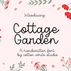 May include: A digital graphic featuring the text Introducing Cottage Garden A handwritten font by cotton white studio in black script. The background is light pink, decorated with red flowers, green leaves, and small red berry sprigs.