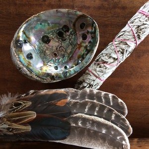White Sage Smudge Bundle - Abalone Shell - Feather Fan - Ceremonial Smudge Gift Set