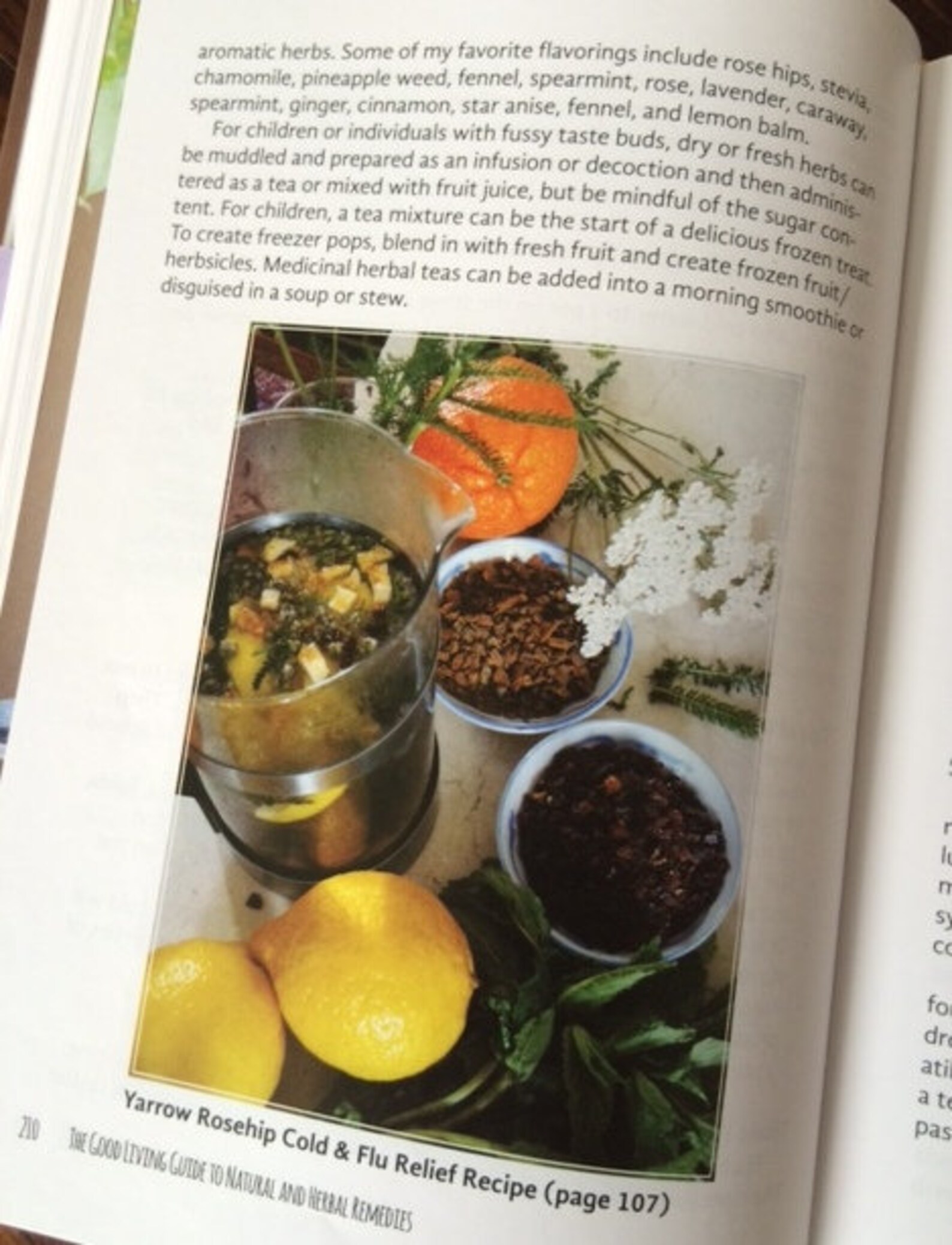 Herbal Medicine Making Book the Good Living Guide to Natural and