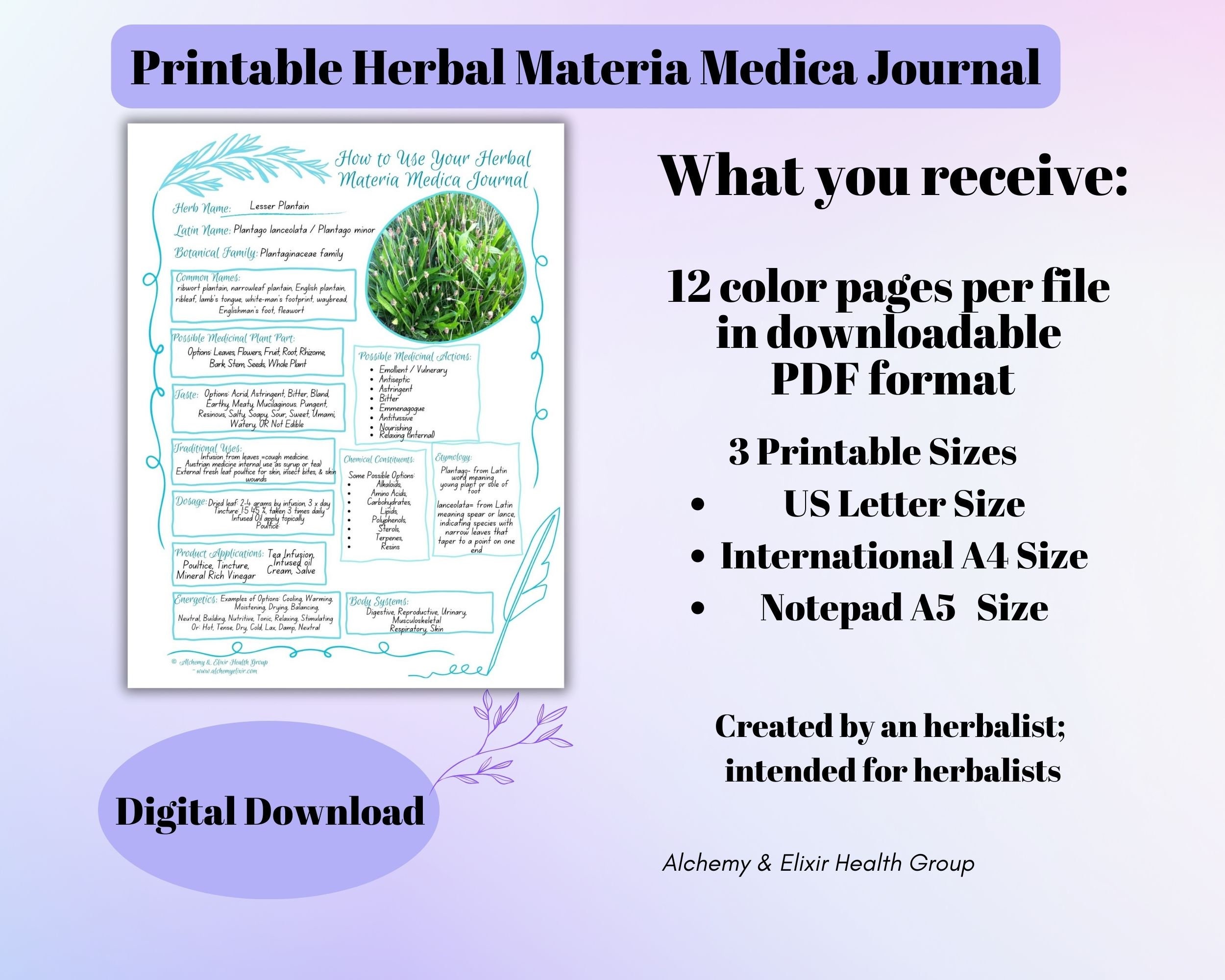 Herbal Materia Medica Journal: Printable, Fillable Worksheets and ...