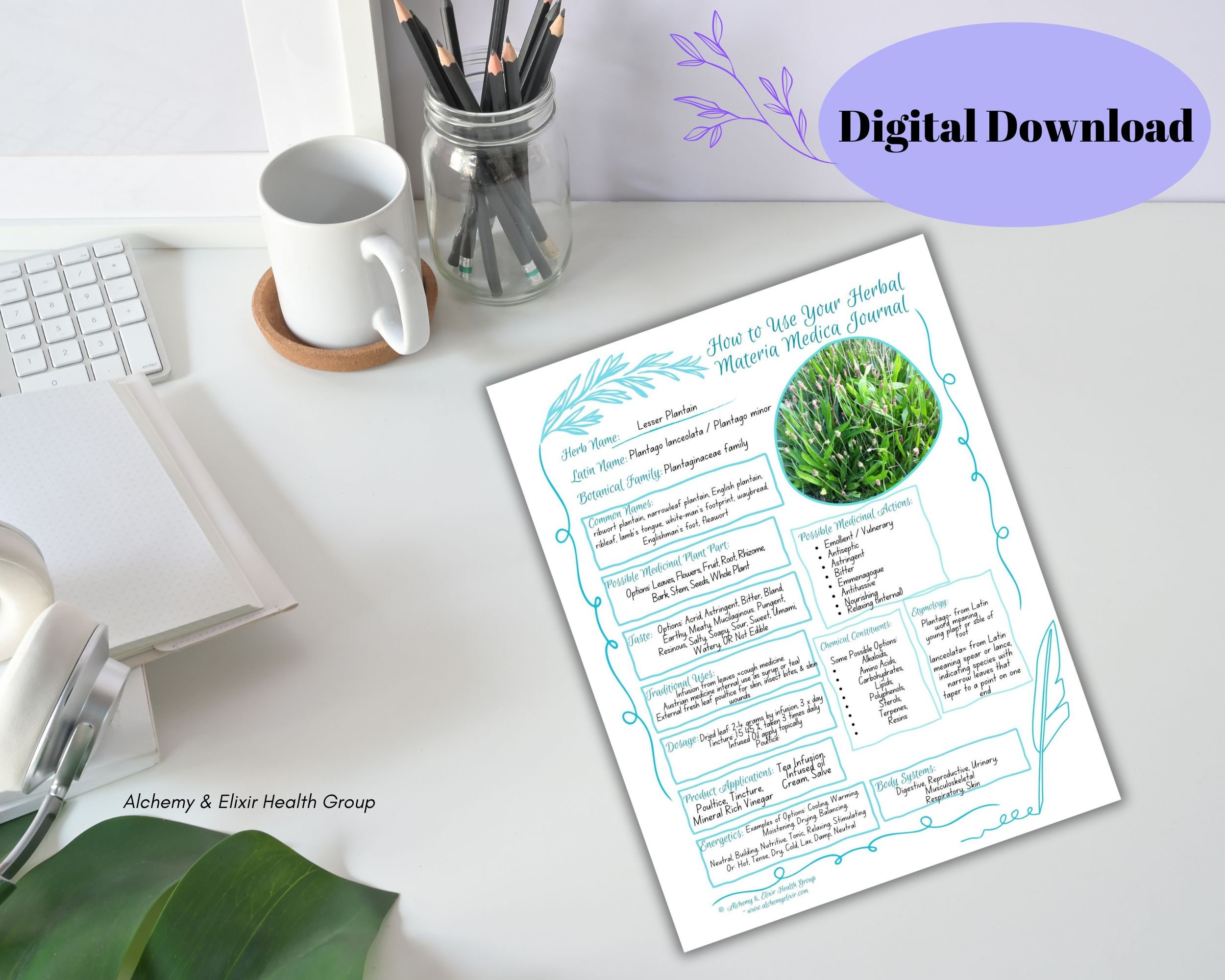 Herbal Materia Medica Journal: Printable, Fillable Worksheets and ...