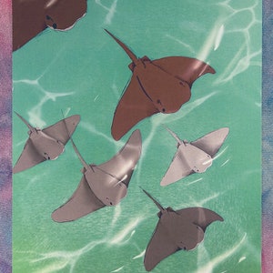 May include: A digital illustration of five stingrays swimming in a turquoise blue ocean. The stingrays are various shades of brown and gray. The water is depicted with white lines that resemble ripples.