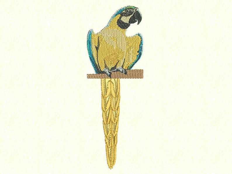 Guest cloth Yellow-breasted stara Parrot Ara Bird Tropic image 2