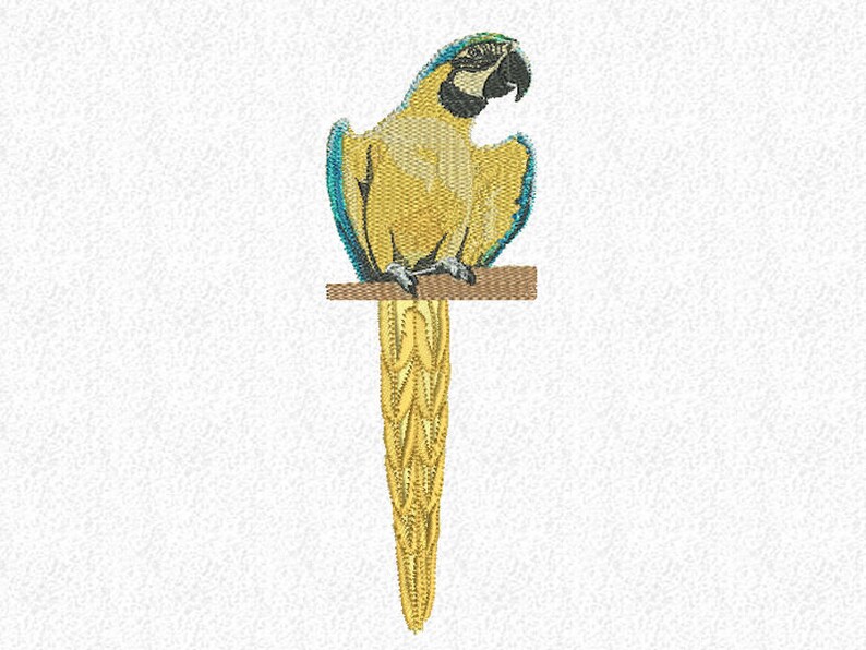 Guest cloth Yellow-breasted stara Parrot Ara Bird Tropic image 1
