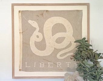 Framed Serpent Liberty Flag