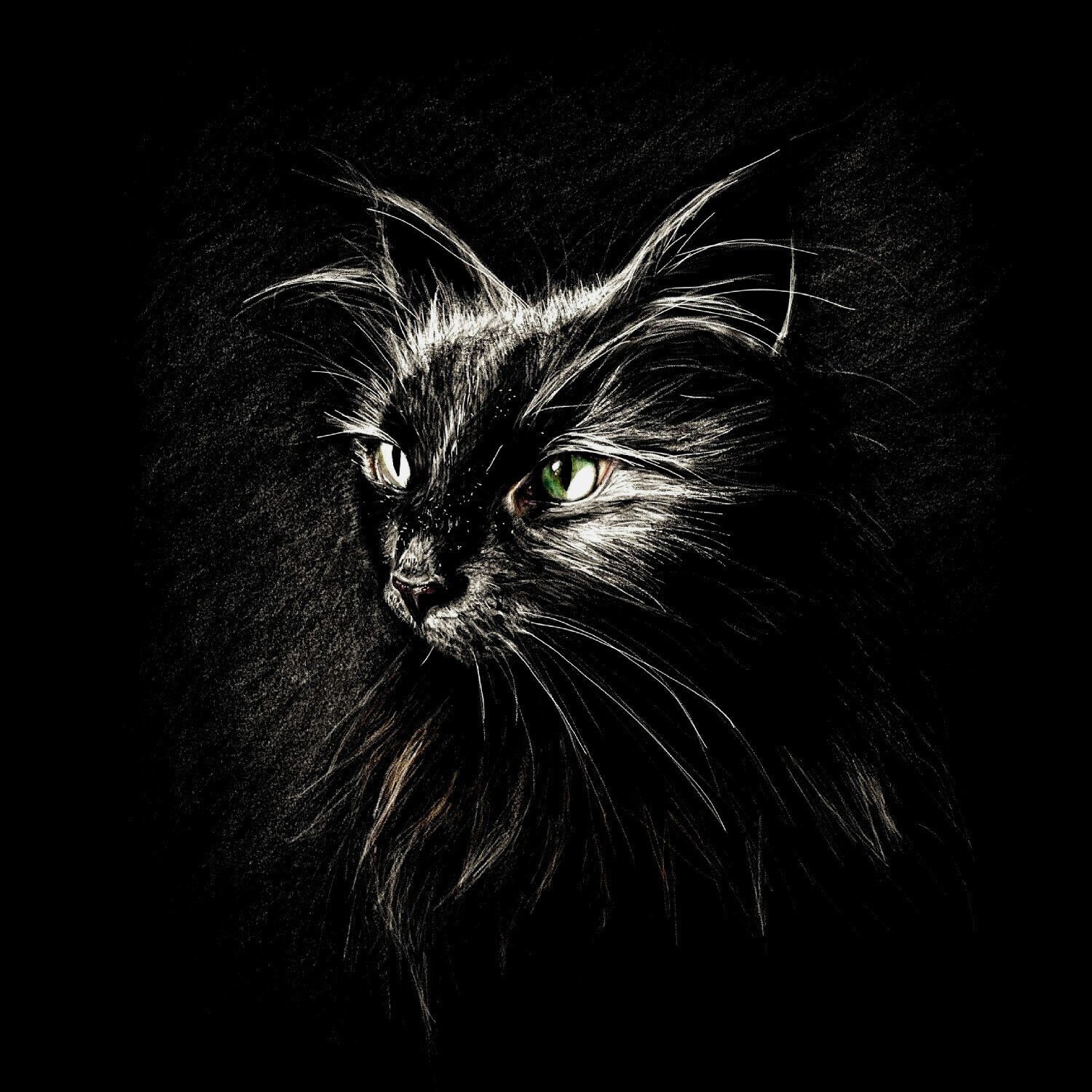 The Regal Beautiful Cat Black Cat Printable Art | Etsy
