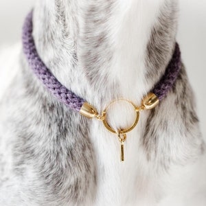 PLAIN House Collar | Solid Colour Handbraided Handmade Dog ID Tag Knitted Macrame Hound Slip Gold Custom Personalised | Sadhounds