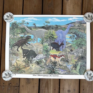 Parque estatal Dinosaur Valley - Dinosaurios de Texas Póster