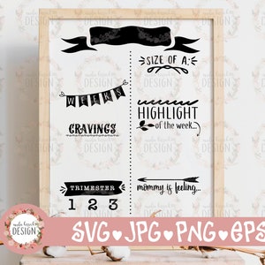 Wekelijkse zwangerschap Mijlpaal SVG, Zwangerschap Tracker, zwangerschap aankondiging svg, zwangerschapscadeau, Baby Douche cadeau svg, wekelijks mijlpaal teken