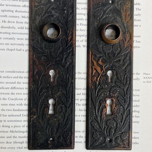 May include: Two antique bronze door plates with intricate floral and foliate relief patterns. Each plate features a keyhole, a circular handle opening, and a distressed finish, showcasing an aged aesthetic. The plates are rectangular and likely from a vintage door set.