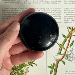 May include: A circular, black object with a shiny surface is held. It could be a knob or decorative piece. The background shows pages from a book with text and plant illustrations. The object is held in a hand.