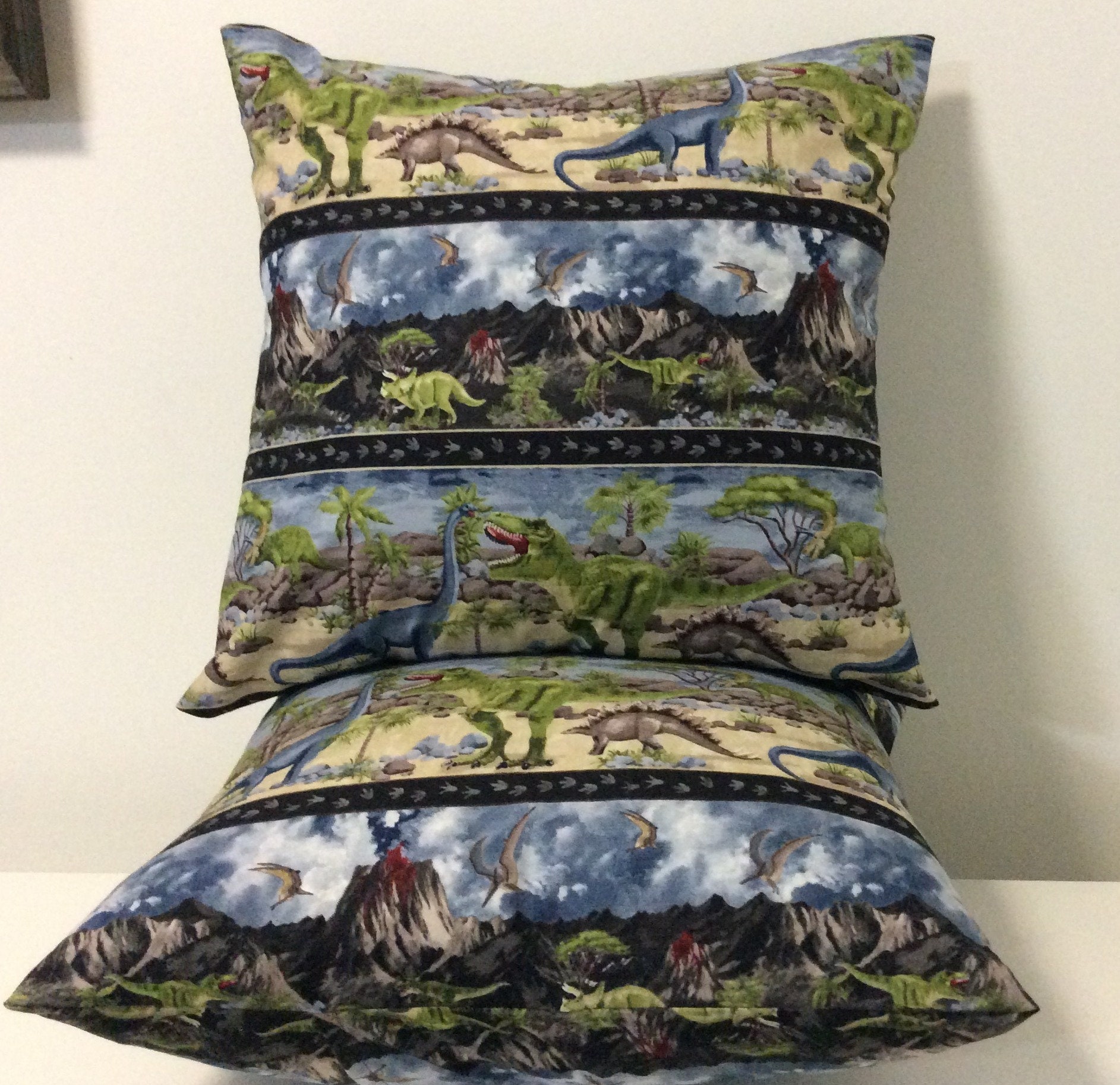 pillows with removable covers