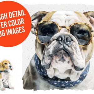 Assorted Dog Clipart Pack - 10 hochwertige JPGs - Digitaler Planer, Junk Journals, Aquarell - Kommerzielle Nutzung inklusive - Digitaler Download