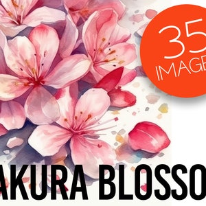 Watercolor Cherry Blossoms - Cherry Blossoms Clipart - Sakura Clipart - Floral artwork - Floral logo - Spring Clipart - watercolour
